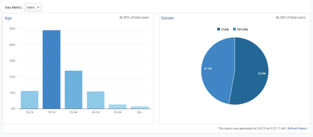 Screenshot Google Analytics Insights