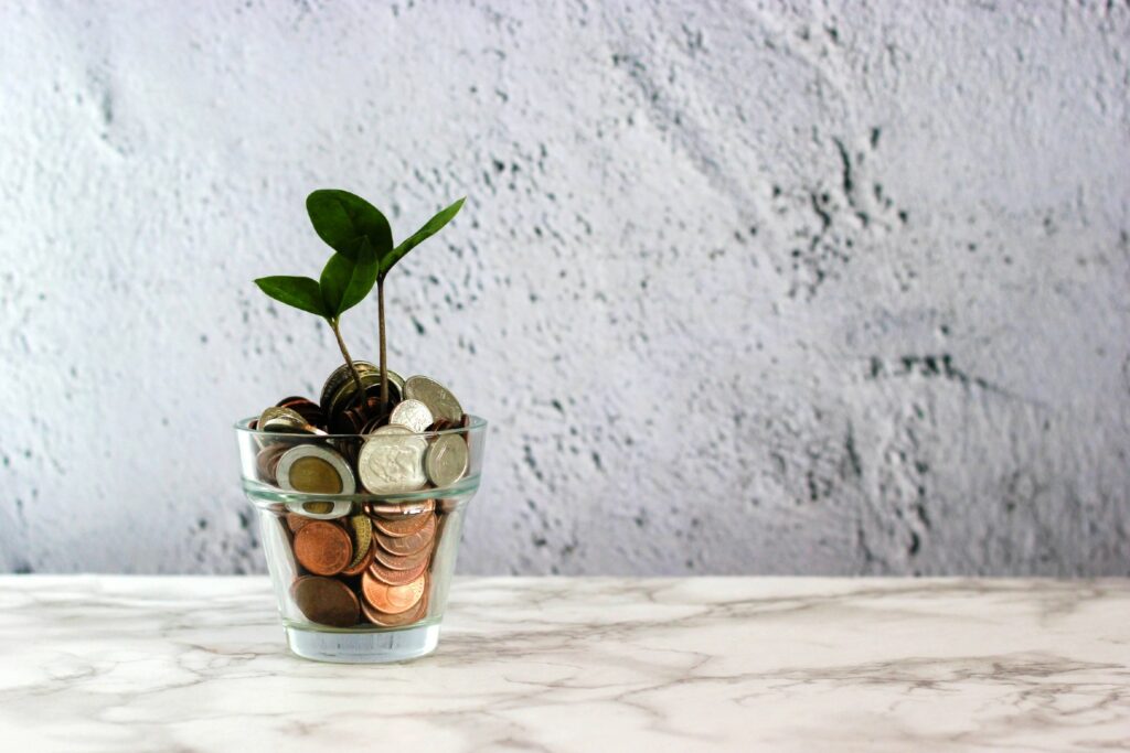 Coins and plant in a glass jar. Photo from Unsplash
